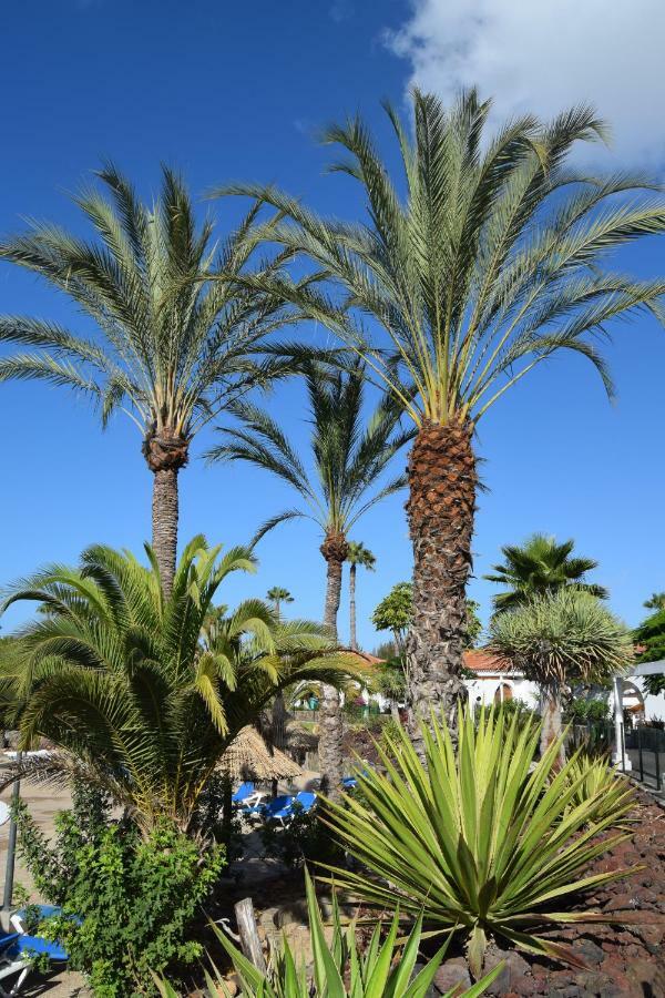 Parque Golf Fresh Appartement Maspalomas  Buitenkant foto